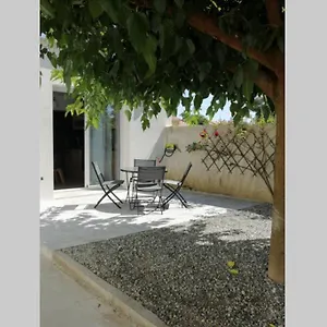Avec Terrasse Appartement